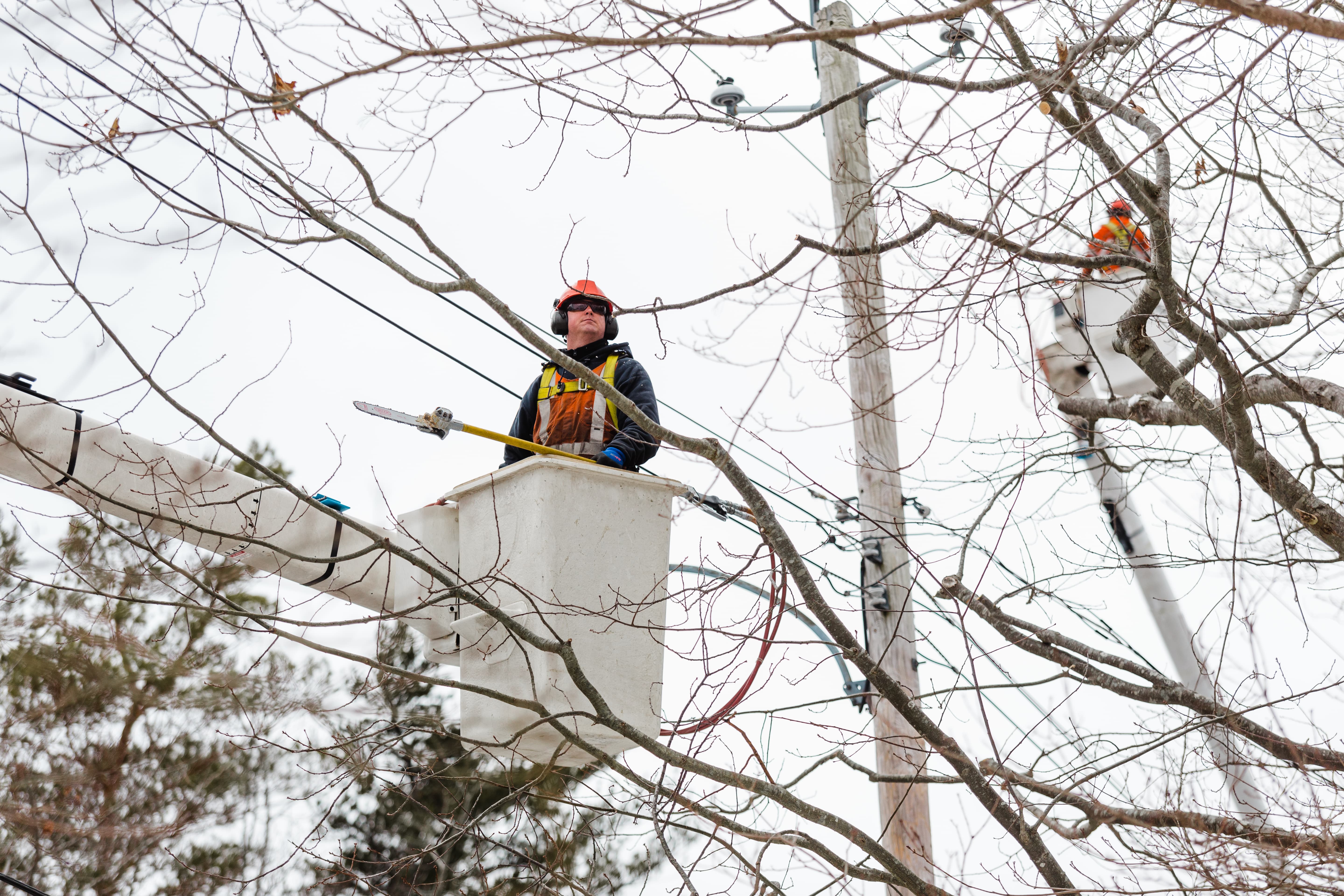 Reliability_Tree Trimming