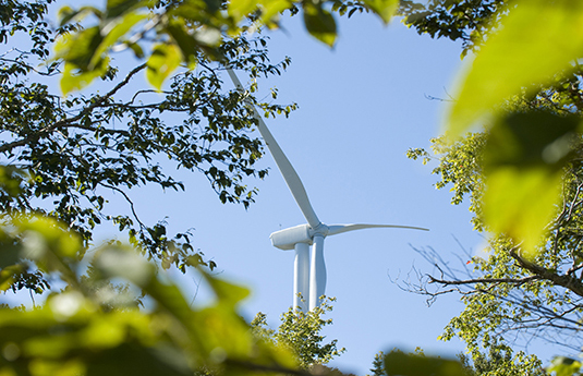 wind-turbine-green-leaves