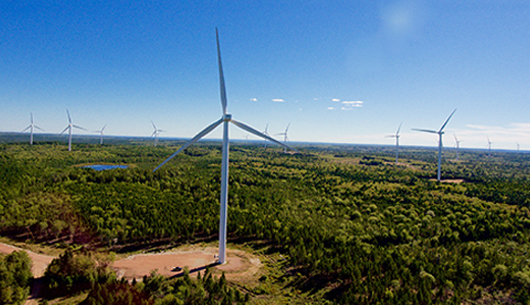 wind-turbines-green-field-sky