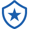 Blue badge icon