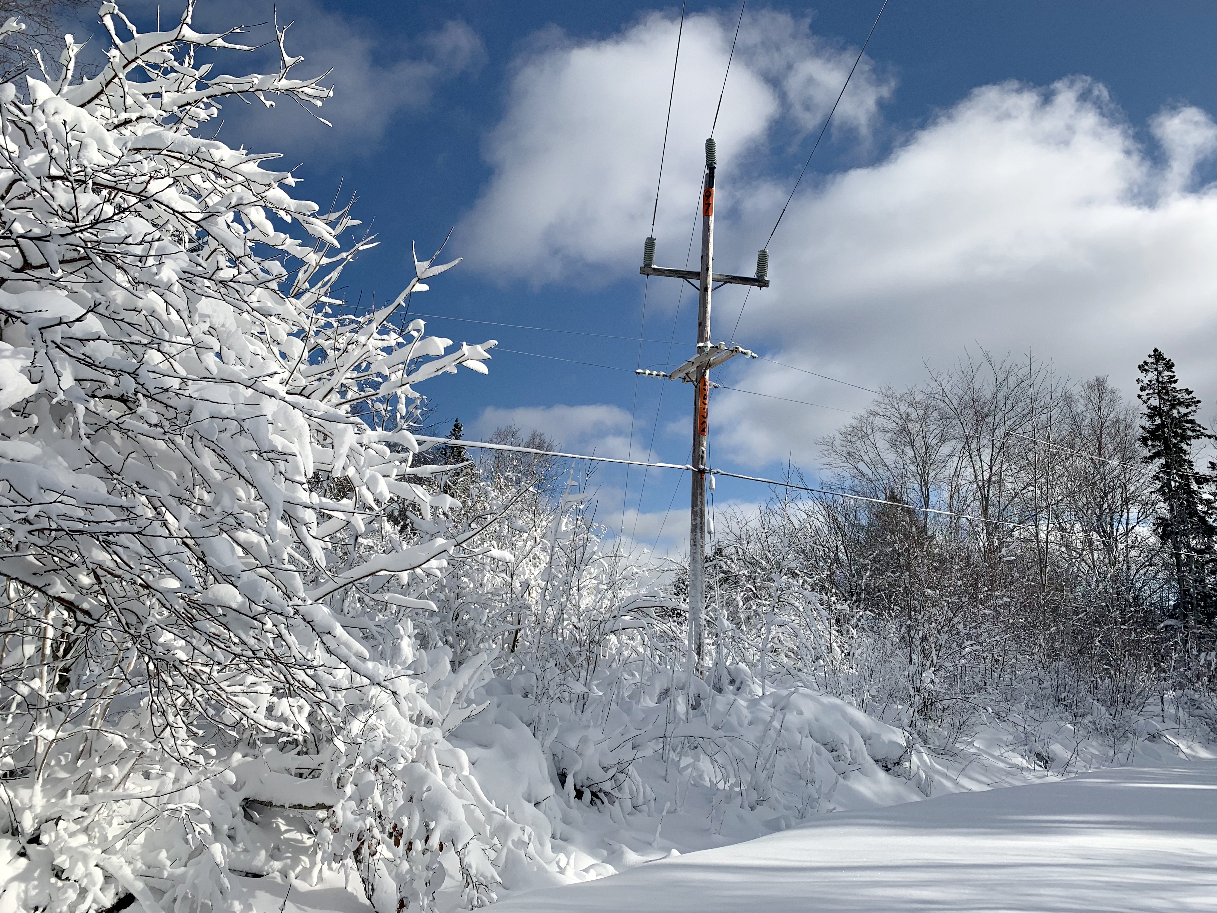 NSP_Winter Storm_Feb 20223